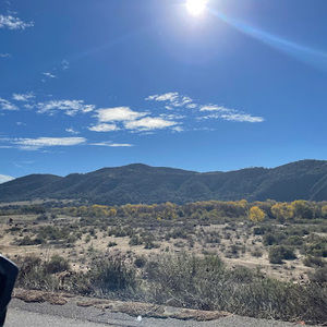 Meet your Posher, Elisa